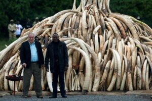 Richard Leakey, Kenyan conservationist who campaigned against ivory trade; has died 8 473018 origin 1