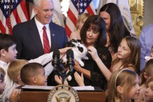 RIP Unintended Star Of Gay Best-Seller, Pence Eulogizes Pet Rabbit, "We Had Some Wild Times Together"; (Lucky For John Oliver, Parody Bunnies Live Forever) 5 477622 origin 1