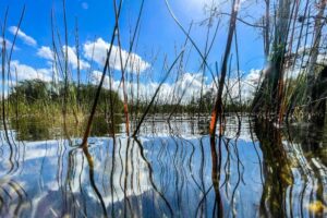 US announces historic $1.1 bn investment for Everglades rehabilitation 16 477865 origin 1