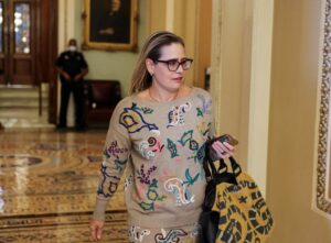 Arizona Democratic Party formally censures Sinema 38 483454 origin 1
