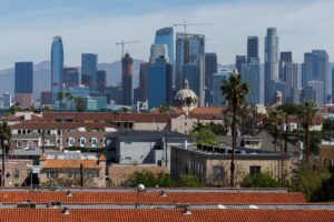 LA court rules state corporate diversity law unconstitutional 12 505477 origin 1