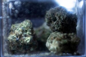 Roll up: Weed Day explained 4 509339 origin 1