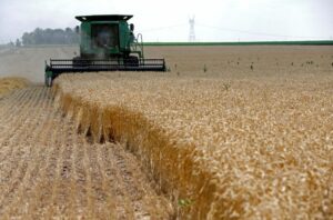 U.S. Black farmers lost $326 billion worth of land in 20th century - study 12 512319 origin 1