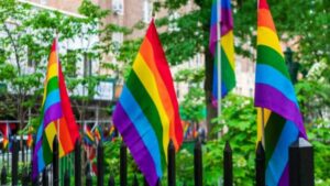 School board candidate checks out all LGBTQ books from library to 'preserve innocence' 8 583169 origin 1
