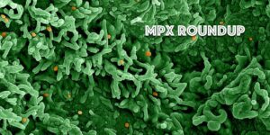 MPX is MonkeyPox is Everywhere; CDC Undercounts Cases; 'Lesions, Headaches, Debilitating Pain... You Don't Want This '; ROUNDUP 17 mpx is monkeypox is everywhere