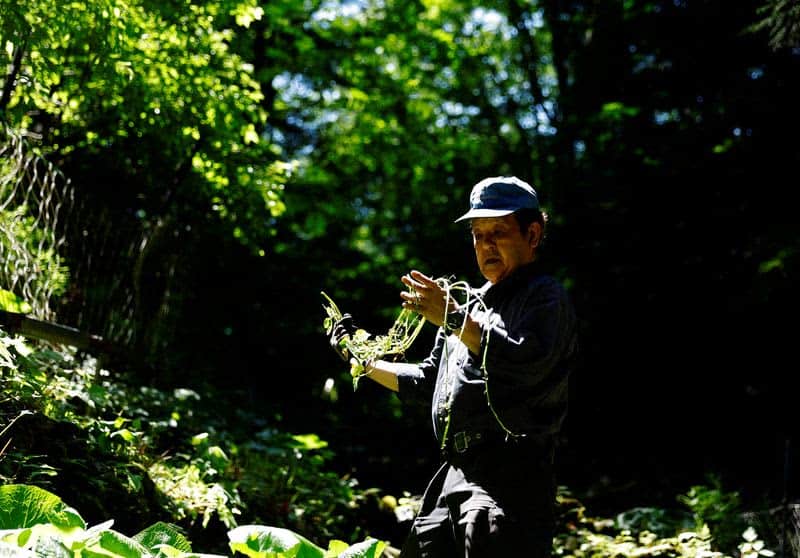 Fatty 'Katsuo' Fish May Foreshadow Climate Change, Threat To Japan'S Sushi 12 594593 594593 origin 1 11