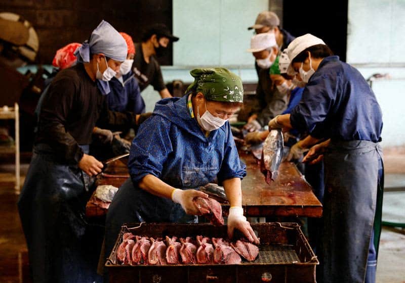Fatty 'Katsuo' Fish May Foreshadow Climate Change, Threat To Japan'S Sushi 8 594593 594593 origin 1 7