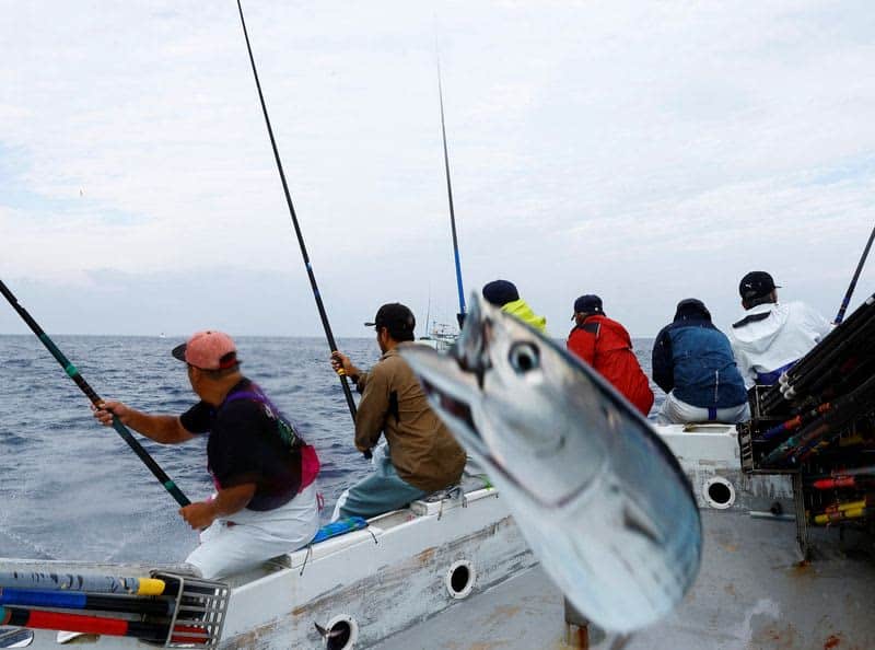 Fatty 'Katsuo' Fish May Foreshadow Climate Change, Threat To Japan'S Sushi 1 594593 origin 1