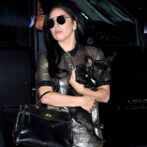 US Marshals hunting for Lady Gaga dog walker shooting suspect 6 599943 origin 1