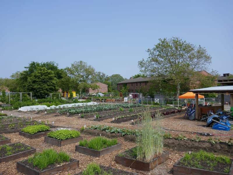 Escape the 'concrete jungle' and explore New York's green oases 23 602149 602149 origin 1 4