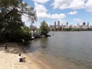 Escape the 'concrete jungle' and explore New York's green oases 24 602149 origin 1