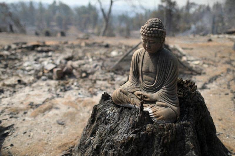 Firefighters start to contain raging California wildfire near Yosemite 21 606319 606319 origin 1 1
