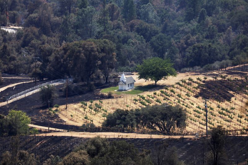 Firefighters start to contain raging California wildfire near Yosemite 24 606319 606319 origin 1 4
