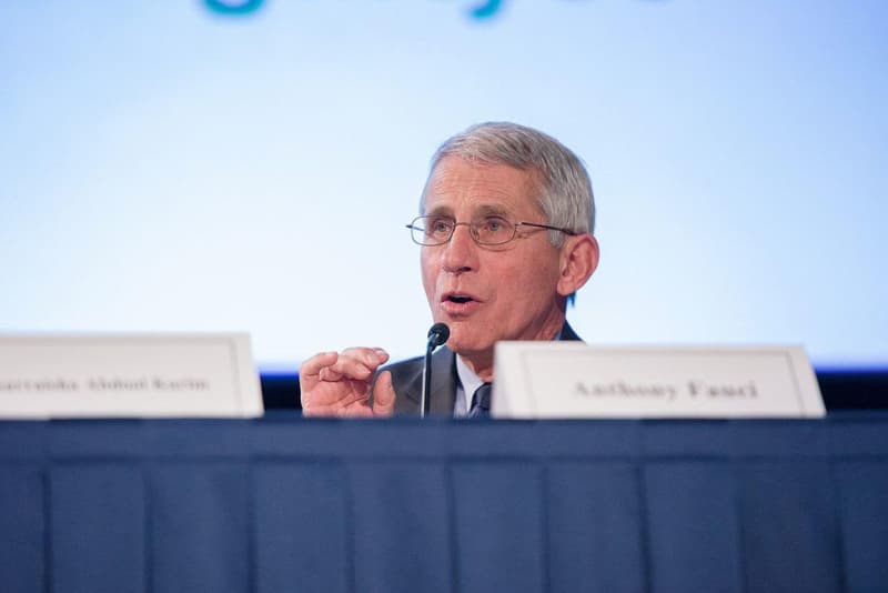'Go ahead': Anthony Fauci dares Republicans to investigate him 3 606359 origin 1