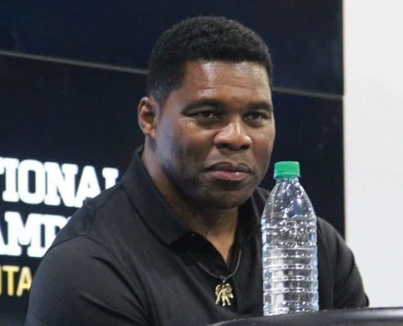 Herschel Walker said states 'can just stop all' same-sex marriages 3 613881 origin 1