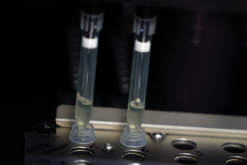 Spain reports second monkeypox-related death in Europe 3 629147 origin 1