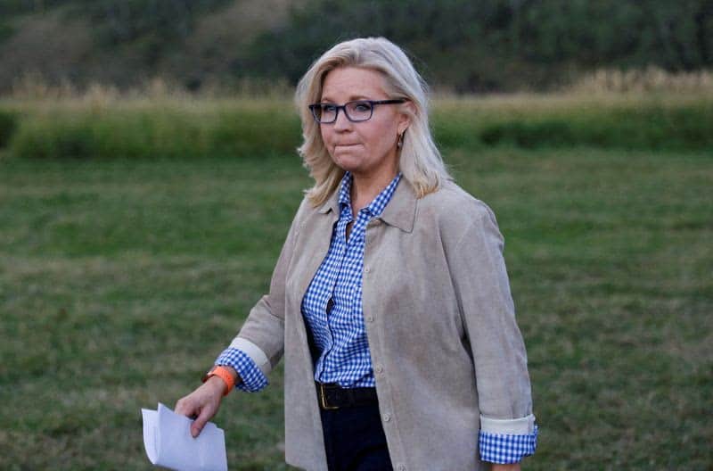Trump Critic Liz Cheney Falls In U.s. Primary, Murkowski Survives 1 637092 origin 1