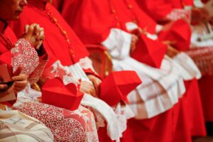 Analysis-Question of who might succeed Pope Francis to loom over cardinals' gathering 30 638195 origin 1