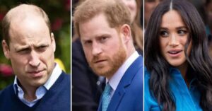 New Revelations: Prince William 'Jumped In Car To Confront' Harry After Brother 'Slammed Phone Down On Him' Over Meghan Markle Bullying Claims 8 638807 origin 1