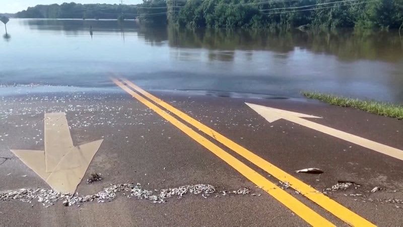 Jackson, Mississippi, to go without reliable drinking water indefinitely 52 639558 origin 1
