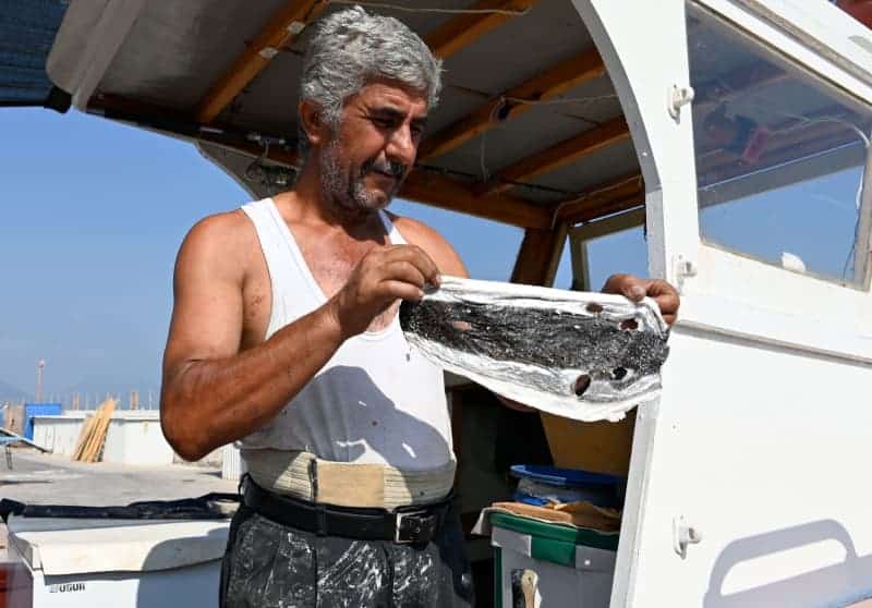 Turkish engineer makes fish leather purses out of invasive species 30 639604 639604 origin 1 1