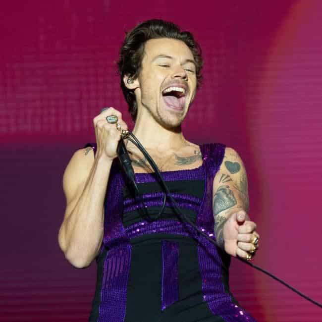 Harry Styles Leads Fans In Applause For Queen Elizabeth 1 641933 origin 1