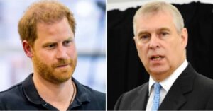 Prince Harry 'Humiliated' The Queen's Initials Were Removed From His Military Uniform — Disgraced Prince Andrew Allowed To Keep His 24 643410 origin 1