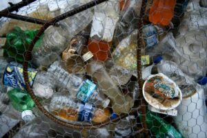 Plastic recycling remains a 'myth': Greenpeace study 12 649916 origin 1