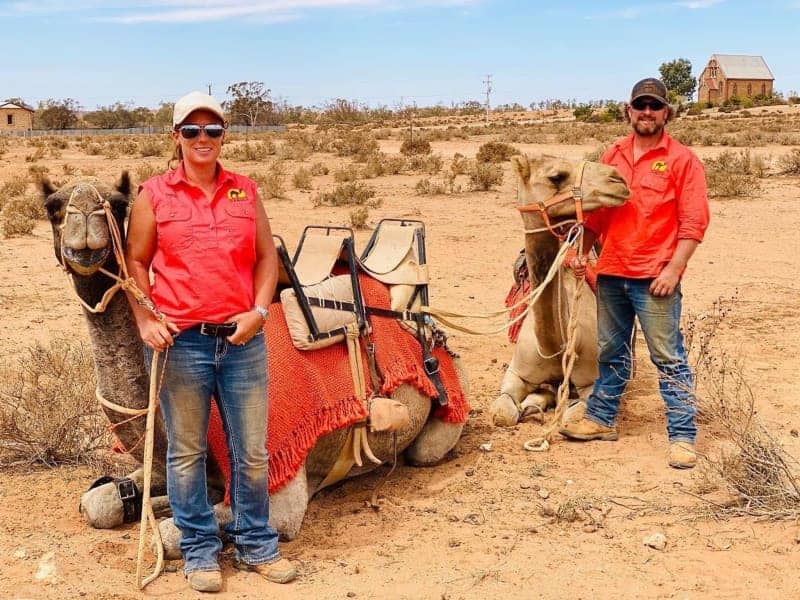 Camelccino, Anyone? Australia Struggles To Find Uses For Its Camels 4 650997 650997 origin 1 3