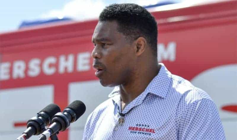 'This ad is hate': CNN guest shreds Herschel Walker for anti-transgender ad hours after Club Q shooting 37 656754 origin 1