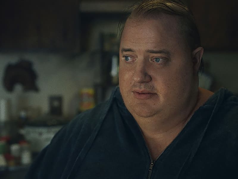 ‘The Whale’ Review: Brendan Fraser Does His Best With A Movie That Lays The Pathos On Thick 1 660348 origin 1