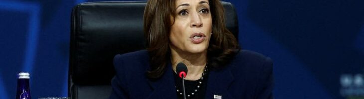 Migrants dropped outside VP Harris’s home on blustery Christmas Eve