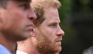 Prince Harry accuses brother William of 2019 physical attack: report 8 662713 origin 1