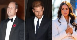 Prince Harry Accuses Brother William Of Physically Attacking Him During 2019 Fight Over Meghan Markle 20 662799 origin 1