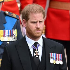 Prince Harry believed Princess Diana's death was a hoax for over a decade 32 663211 origin 1