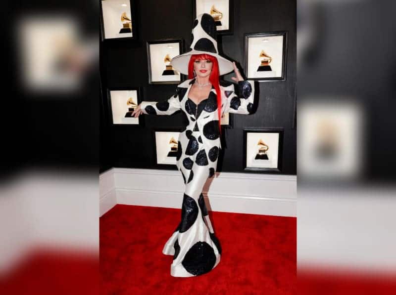 2023 Grammys Red Carpet: See Photos Of Lizzo, Doja Cat, Shania Twain &  More! - Towleroad Gay News