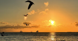 Gay Key West Uncovered podcast takes listeners to the island like never before.