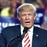 Study provides insight into how culture war issues contributed to Trump’s rise to power