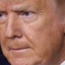 Trump’s ‘nutjob’ allies are pushing for Mar-a-Lago standoff with feds: report