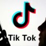 US House speaker says lawmakers to move forward with TikTok bill