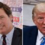 Tucker Carlson Backtracks After Claiming He ‘Passionately’ Hates Donald Trump: ‘I Love’ Him ‘As A Person’