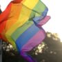 Morocco-based French schools trigger debate over LGBT lesson