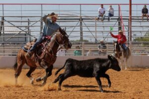 At gay rodeo in Texas, riders gallop on despite rights row 12 676436 origin 1
