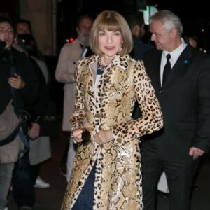 Anna Wintour has 'total control' over the Met Gala guest list 8 677376 origin 1