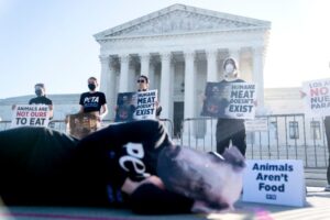 Pigs notch animal cruelty win at US Supreme Court 8 678230 origin 1