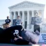 Pigs notch animal cruelty win at US Supreme Court