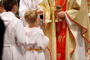 'You cover up abuse': Twitter demolishes right-wing Catholic group over anti-LGBTQ tweet 24 679233 origin 1