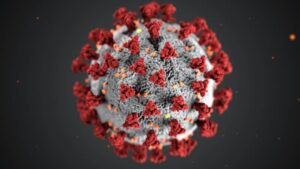 Study: Covid-19 Can Fuse Brain Cells, Leading to Chronic Neurological Problems 50 681296 origin 1