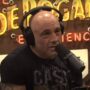 ‘People Are So Silly’: Joe Rogan Drinks Bud Light, Blasts Boycott Over Dylan Mulvaney During Podcast — Could This Be A Turning Point For The Battered Beer Brand?