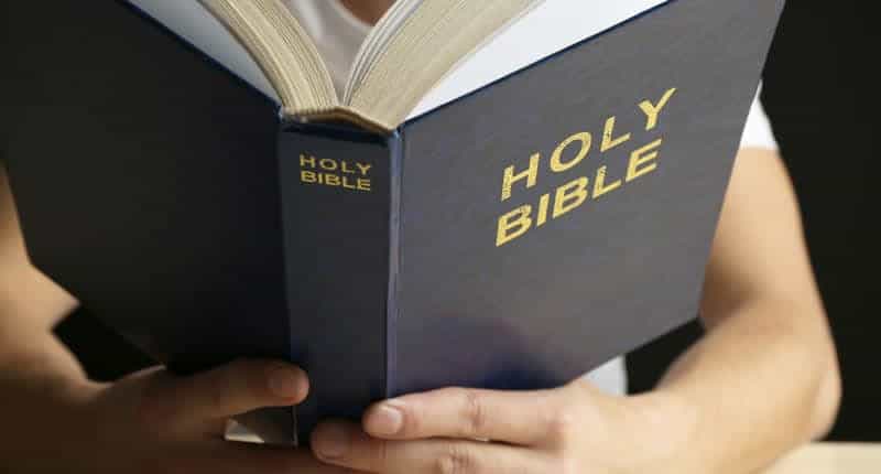 GOP lawmaker's wife says she's been replacing 'terrible books' with Bibles in local Little Free Libraries 52 687853 origin 1